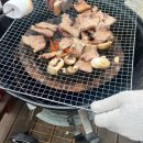 통영동원리조트글램핑 | [통영여행]동원리조트 동물카라반 후기