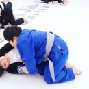 대덕초등학교도룡분교 이미지