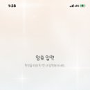 버블 이미지