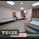 벧엘요양원 근처 - 1795 | 벧엘요양원 근처