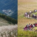 남당리 - 좌 이미지