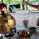 느티나무 플랫폼 이미지