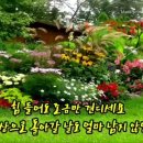 편백숲 이미지