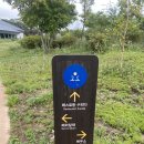 명상 - 자연 | 오대산자연명상마을 옴뷔(OMV) 조식 석식 식사 후기 내돈내산