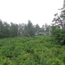 색달동 마을회관 이미지