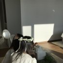 힐튼 가든 인 서울 강남 이미지