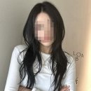벌스헤어 이미지