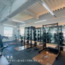 바디조짐 이미지