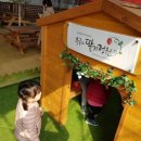 우공농장 이미지