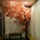 이화맛집 이미지