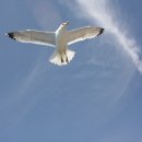 초등 국악놀이터 이미지