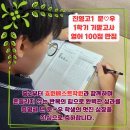 문*우