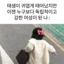 퐁키티