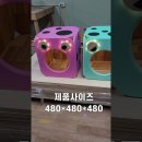 애니멀 하우스 이미지