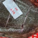 삼복수산 이미지