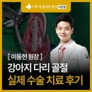 방배한강동물병원 | 방배 동물병원 강아지 다리 골절 수술 치료 후기