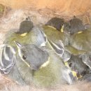 경서중학교 이미지