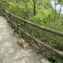 황산카정비 네이버블로그