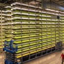 미래비전농장 이미지