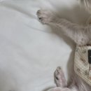 여울동물병원 이미지