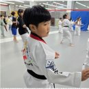 라온제나 성인태권도장 이미지