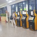 부안사슴농장 이미지