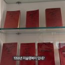 미슐랭 3스타의 토마토파스타 먹고 벽느낀 나폴리맛피아의 반응 이미지