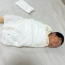 [임신일기] 고운맘 산후조리 후기