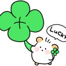 미진축산강릉교동점 이미지