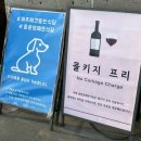 애견동반 가능한 식당 제주 흑돼지 맛집 &#34;중문모메든식당&#34; 찐추천 솔직후기