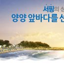 오션스테이6 이미지
