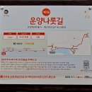 운양푸른어린이집