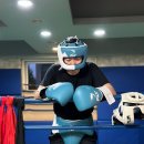 동아권투체육관 | [복싱글러브] 플라이 프리미엄 글러브 후기