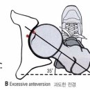 위드핏PT 이미지