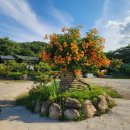 나무달쉼터 이미지