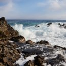 동해파도소리 이미지