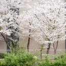 아름고앞 이미지