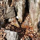 천정약수터 이미지