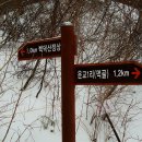 백덕산주유소 이미지