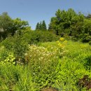 천리포수목원 이미지