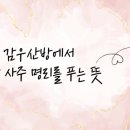 명상으로 치유하는 삶 이미지