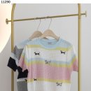 도그라운드 이미지