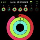 머슬팩토리24익스트림