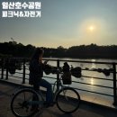대우자전거 | 일산 호수공원 피크닉+자전거 대여 후기(포폴로피자를 곁들인)