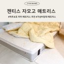 자모 | 허리 매트리스 추천 젠티스 자모고 유로탑 본넬스프링 디스크환자 사용 후기