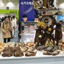 천마총각과 명이처녀 이미지