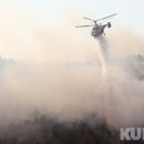 양구군청 별관(2층) 이미지