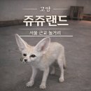 쥬쥬랜드 | 고양 쥬쥬랜드 후기｜서울 근교 데이트로 좋은 체험형 동물원