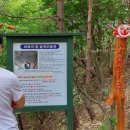 숲속송정농원 이미지