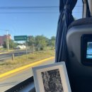 비즈호스텔 | [🇭🇺 San Miguel de Allende] 나의 입꾹닫 지갑, 산미겔에서 개방합니다